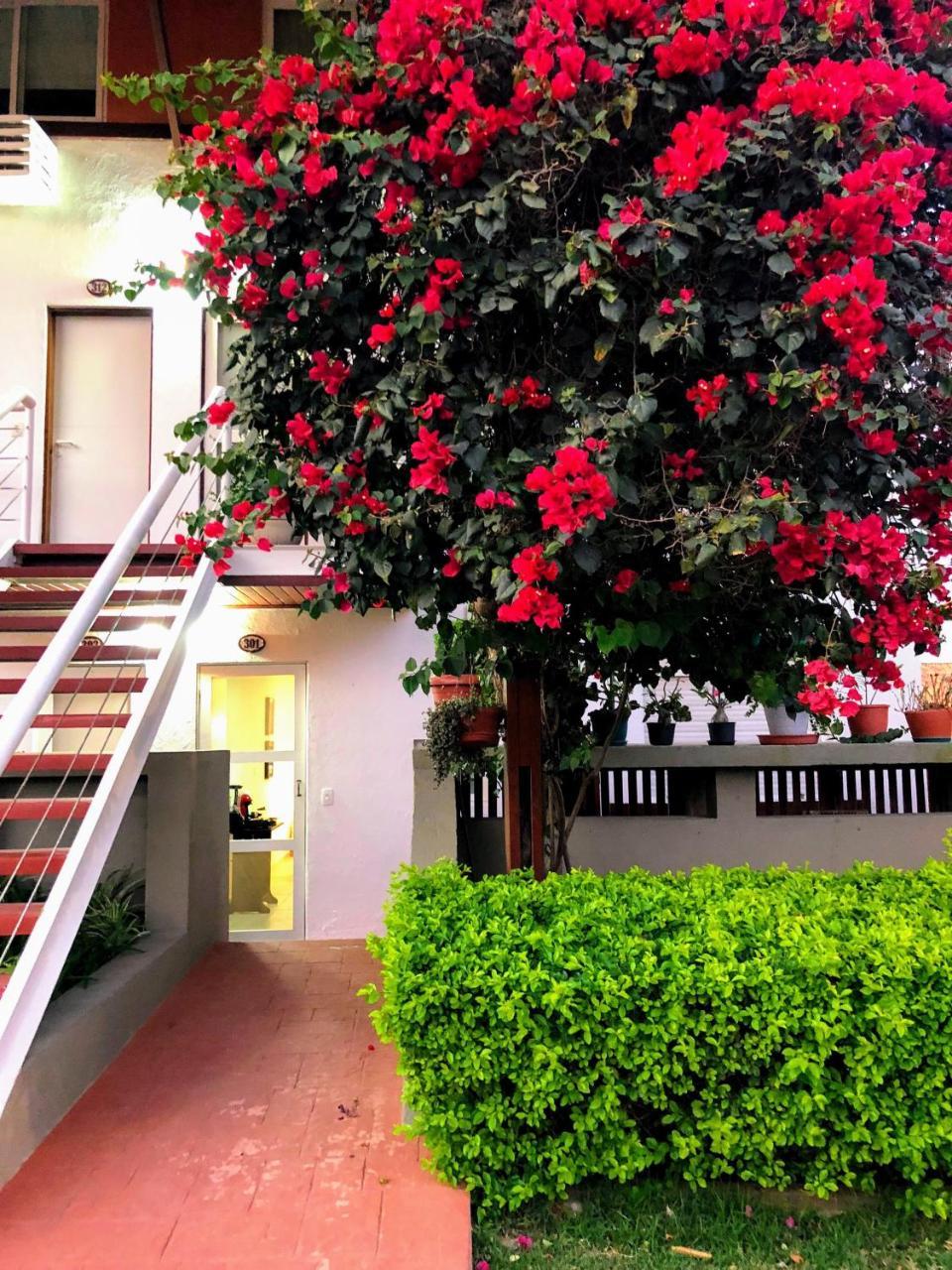 Flat 301 Condominio Villa Hipica - Gravata, Pe 外观 照片